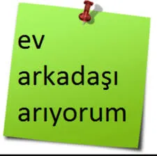 erkek ev arkadaşı arıyorum 