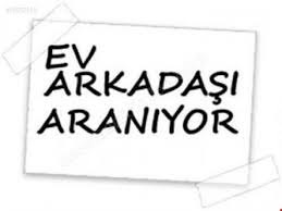 Ev arkadaşı arıyorumm