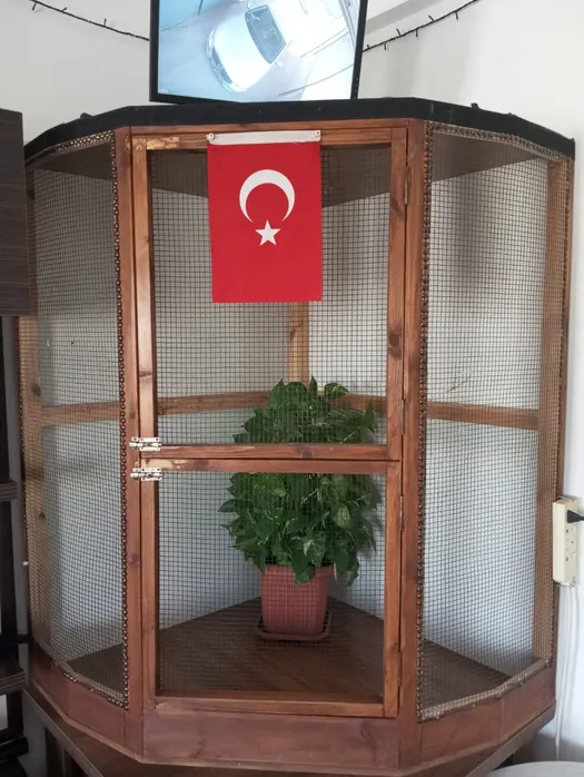 kuş kafesi